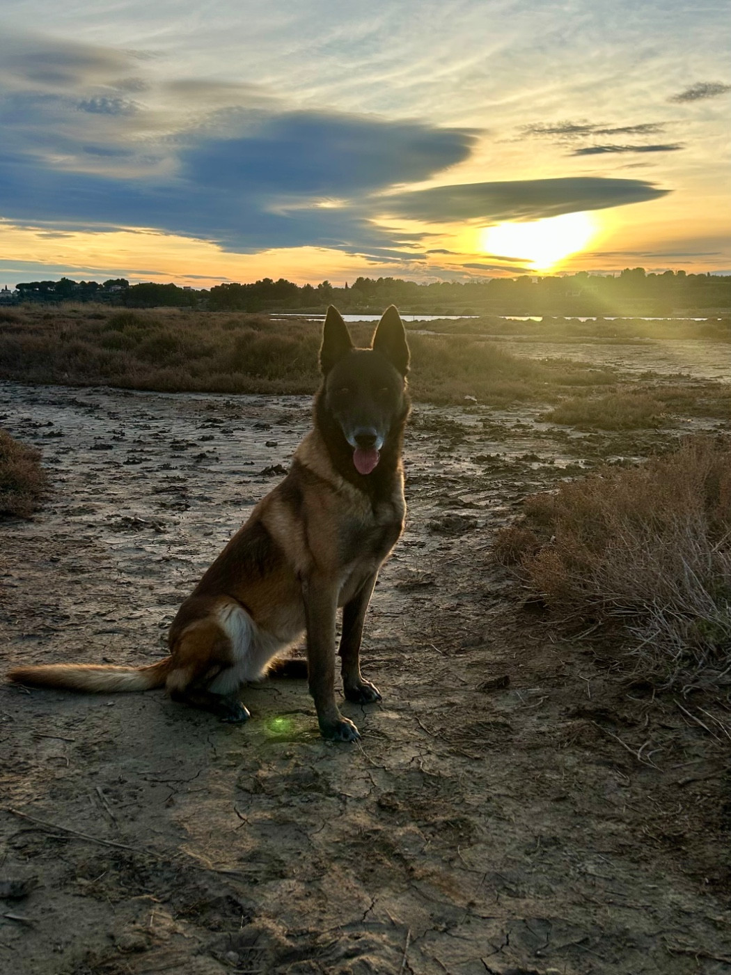 Rimak du paradis des grenouilles