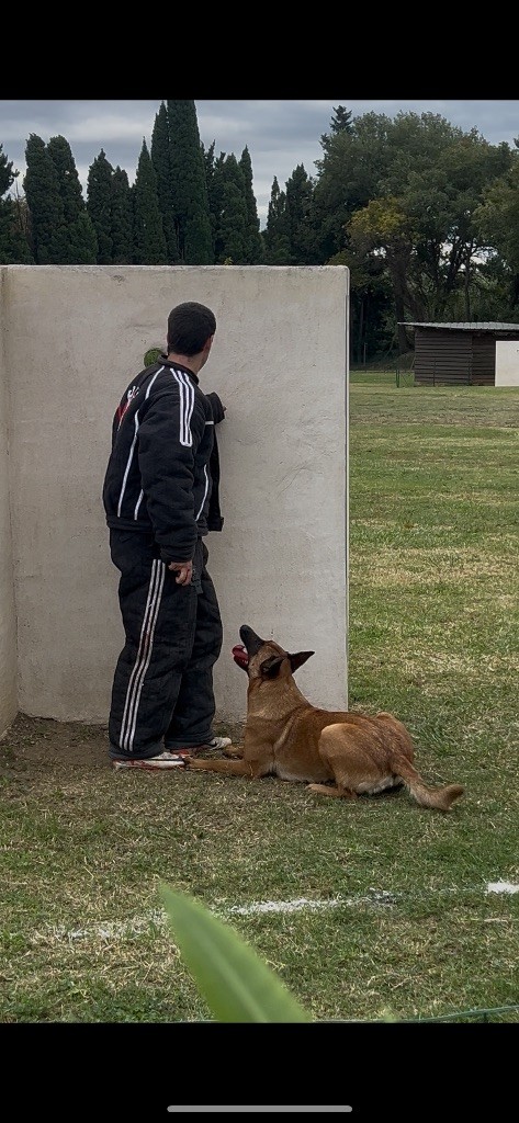 Tenebre dit tornade du Mas des Crozes