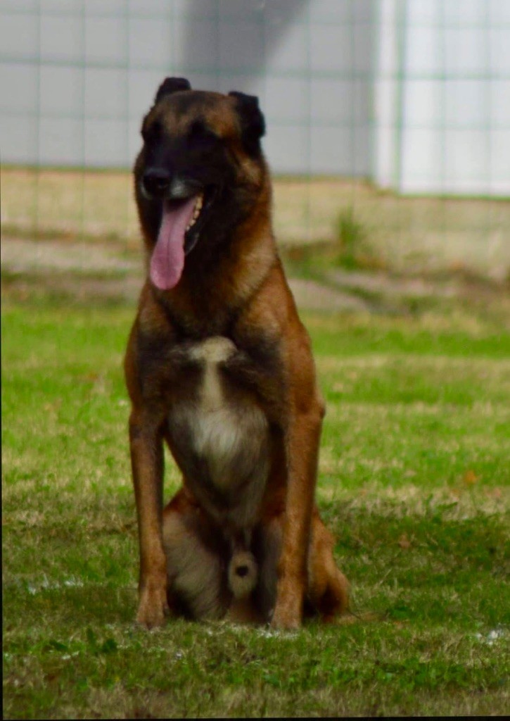 Nougaro dit niakoué du val du tonkin