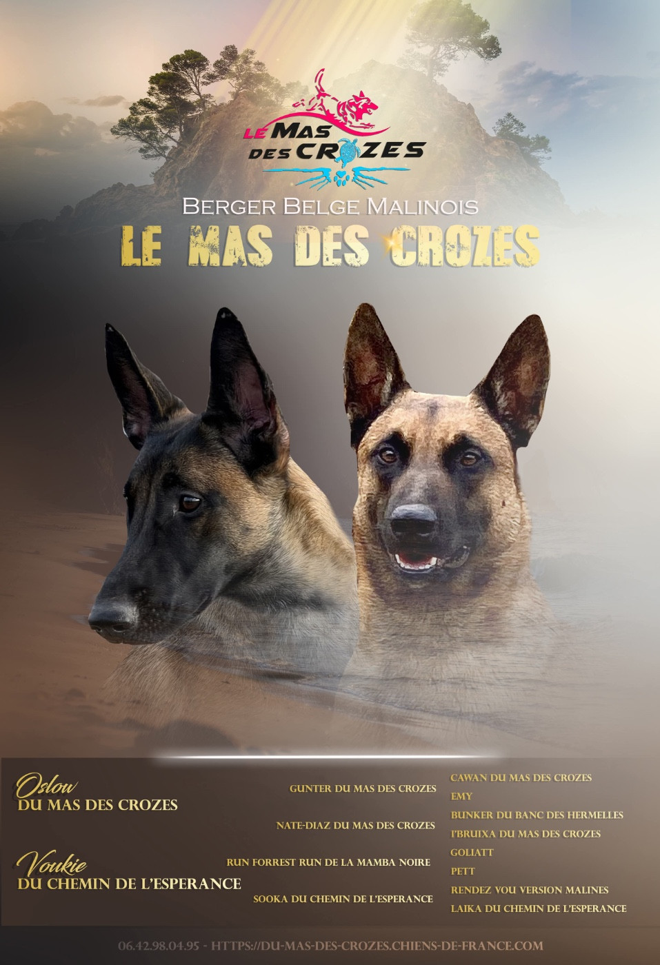 Saillie Oslow du Mas des Crozes et Voukie du chemin de l Esperance